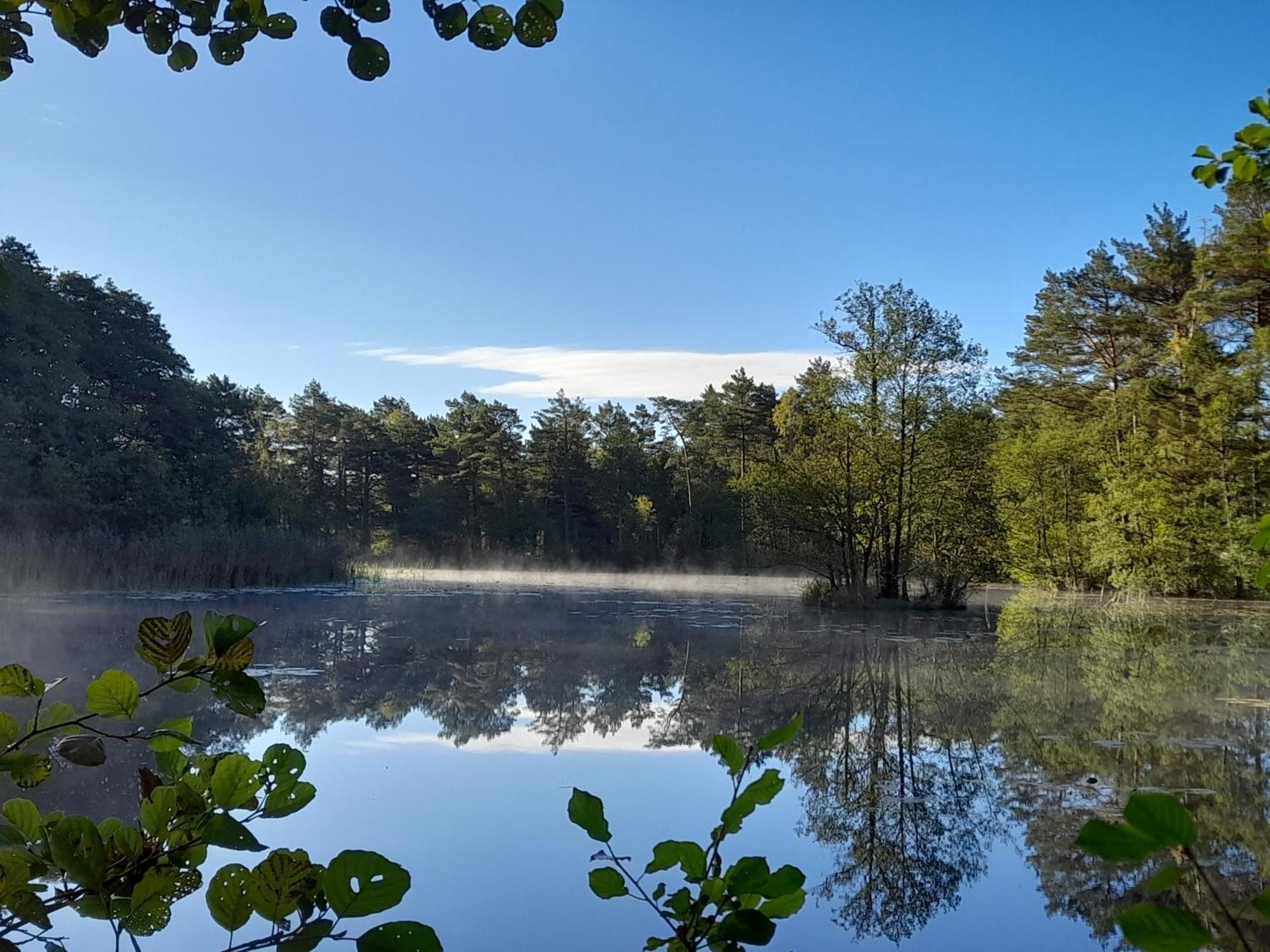 Sosnowka - Domki Nad Morzem โกปาลิโน ภายนอก รูปภาพ
